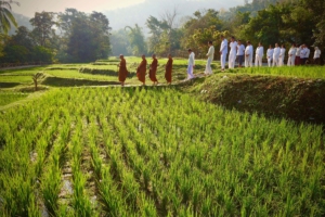 dhammavamsa_publications (95)